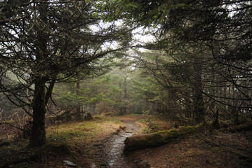 Appalachian Trail