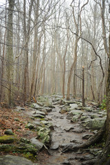 Hiking Path 2