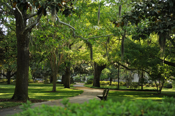 Path through Park