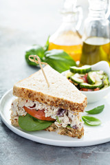 Chicken salad sandwich with spinach and tomato
