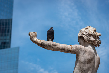 Pigeon on sculpture, NYC