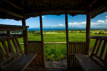 Bamboo Hut and Bright Green Rice Field View - Bohol, Philippines