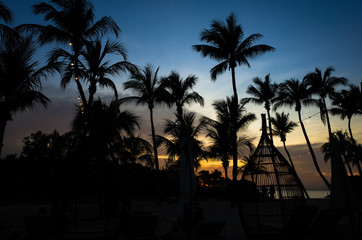 Fototapeta na wymiar Coconut Tree Silhouettes at Sentosa Island During Sunset
