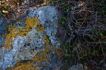 rocks and stones of the sea coast