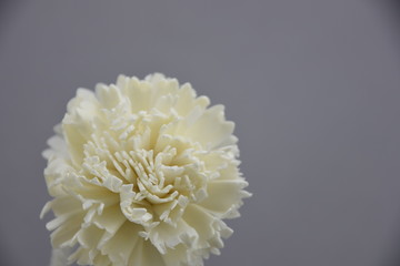 Wooden carnation flower