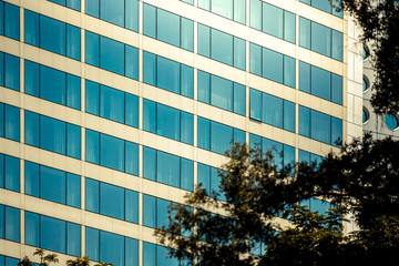 Modern office building detail, glass surface 