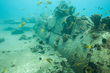 Fototapeta na wymiar Historic plane wreck underwater in the ocean off Maui, Hawaii