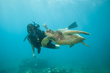 Female woman scuba diver and a sea turtle underwater