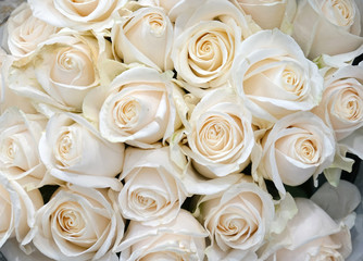 Obraz na płótnie Canvas white rose flower in bouquet as nature background