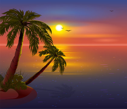 Romantic Sunset on Tropical Island. Palm trees, sea, dark sky and seagulls