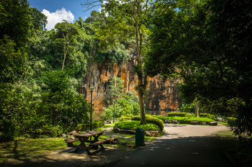 View of Singapore Jungle Cliffs and Nature Park