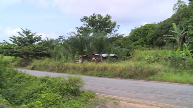Small house in the jungle of Gabon - pan