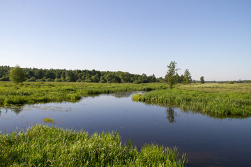 small European river on a summer sunny morning