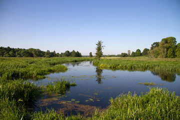 Fototapeta na wymiar small European river on a summer sunny morning