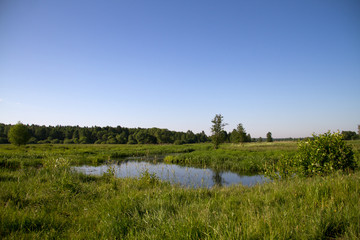 small European river on a summer sunny morning
