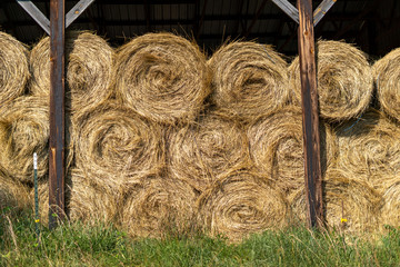 Hay barn stacked with round hay bales