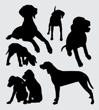 Viszla dog animal silhouette