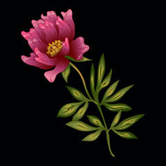 Pink peony flower in a vector style isolated. Full name of the plant: peony. Vector flower for background, texture, wrapper pattern, frame or border.