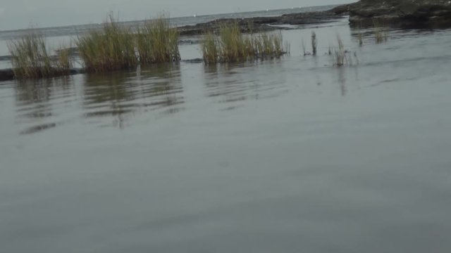 A boy/ man walking/ dancing at the beatch into the water