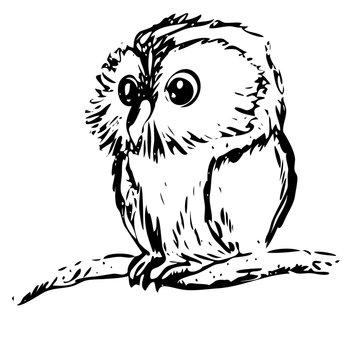 Vector illustration of an owl chick on a branch drawing an ink chart
