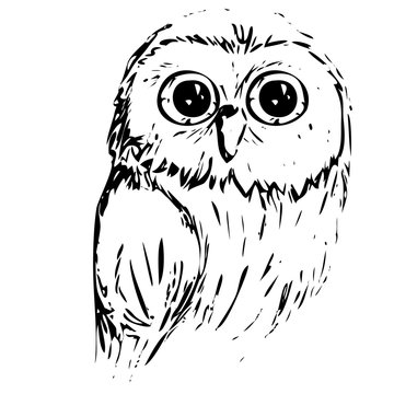 Vector illustration of an owl with big eyes drawing an ink graphic