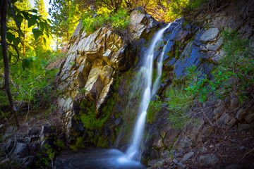 Skinny Waterfall in Sierra Forest