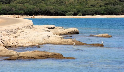 coastline in N.P. Brioni, Croatia