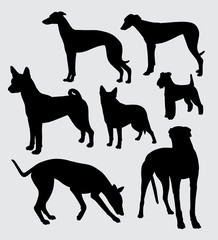 dog pet animal silhouette