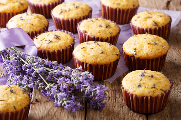 Beautiful background of French muffins with lavender flowers close-up. horizontal