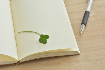 Obraz premium Four leaf clover 