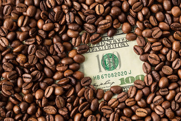 Coffee beans and one hundred dollar bill