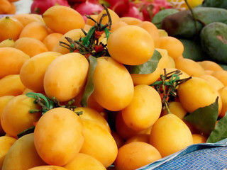 Marian Plum the tropical fruit of Thailand