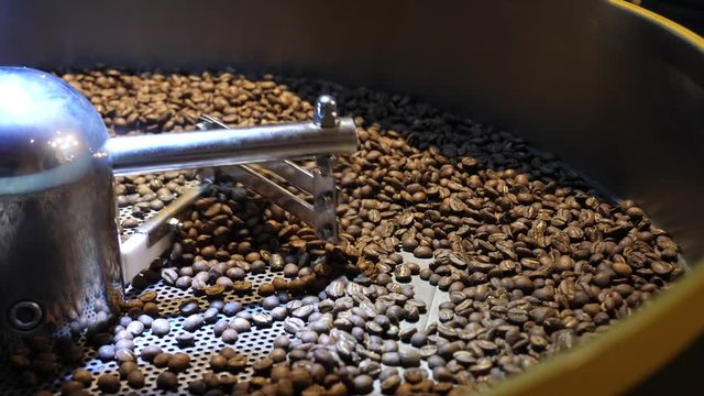 After Roasting coffee proccess fried beans are spinning stirring on a cooling circle