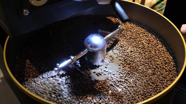 After Roasting coffee proccess fried beans are spinning stirring on a cooling circle