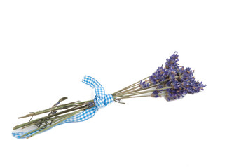 Obraz na płótnie Canvas lavender flower isolated on the white