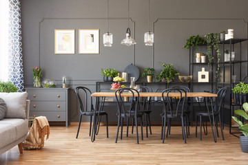 Lamps above wooden dining table and black chairs in grey open space interior with plants. Real photo