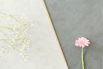 Pink and white flowers