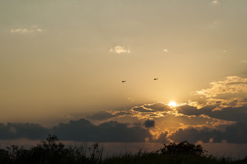 多摩川河川敷の夕暮れ
