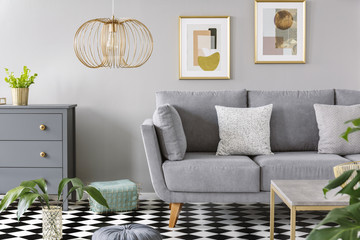 Two patterned cushions placed on grey sofa standing in bright living room interior with fresh plants, wooden cupboard, gold lamp and two simple posters on the wall