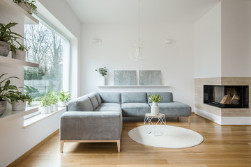 Grey corner lounge standing in white living room interior with two modern art paintings on the...