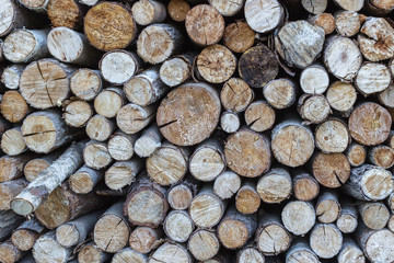 Pile of wooden logs