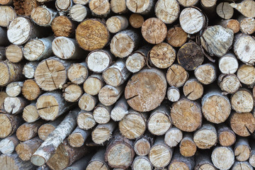 Pile of wooden logs