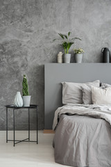 Plant on black table next to bed in grey bedroom interior with concrete wall. Real photo