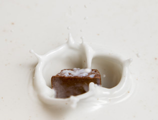 Chocolate falls in milk