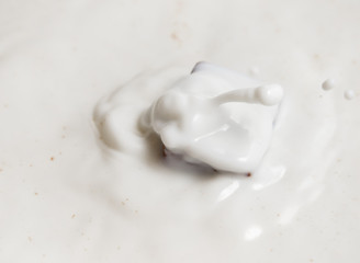 Chocolate falls in milk