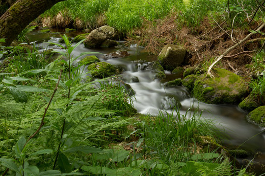 Bodetal