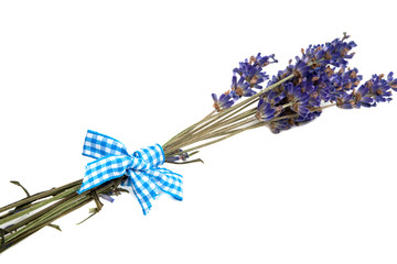 lavender flower isolated on the white