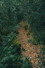 Very narrow path in the middle of the mountain