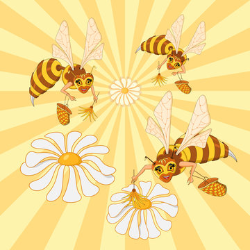Honey bees, daisy and sun. Cartoon character. Vector illustration.