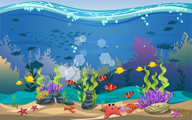 Naklejka na ściany i meble marine habitats and the beauty of coral. There are anemones, fish and reefs.